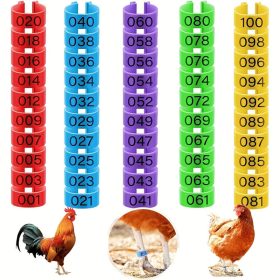 100 Darab Csirke Lábgyűrű 5 Színben